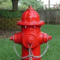 Fire Sprinkler System Guys image 1